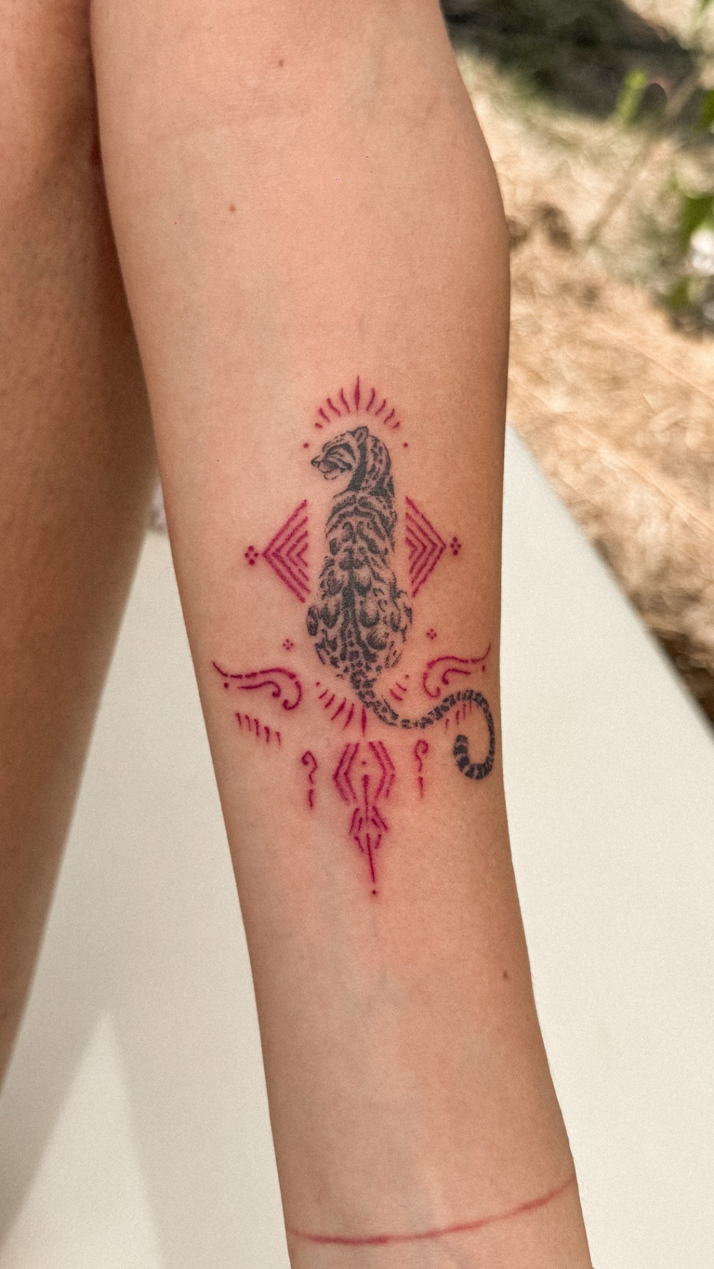Forestania — image 1 of 10