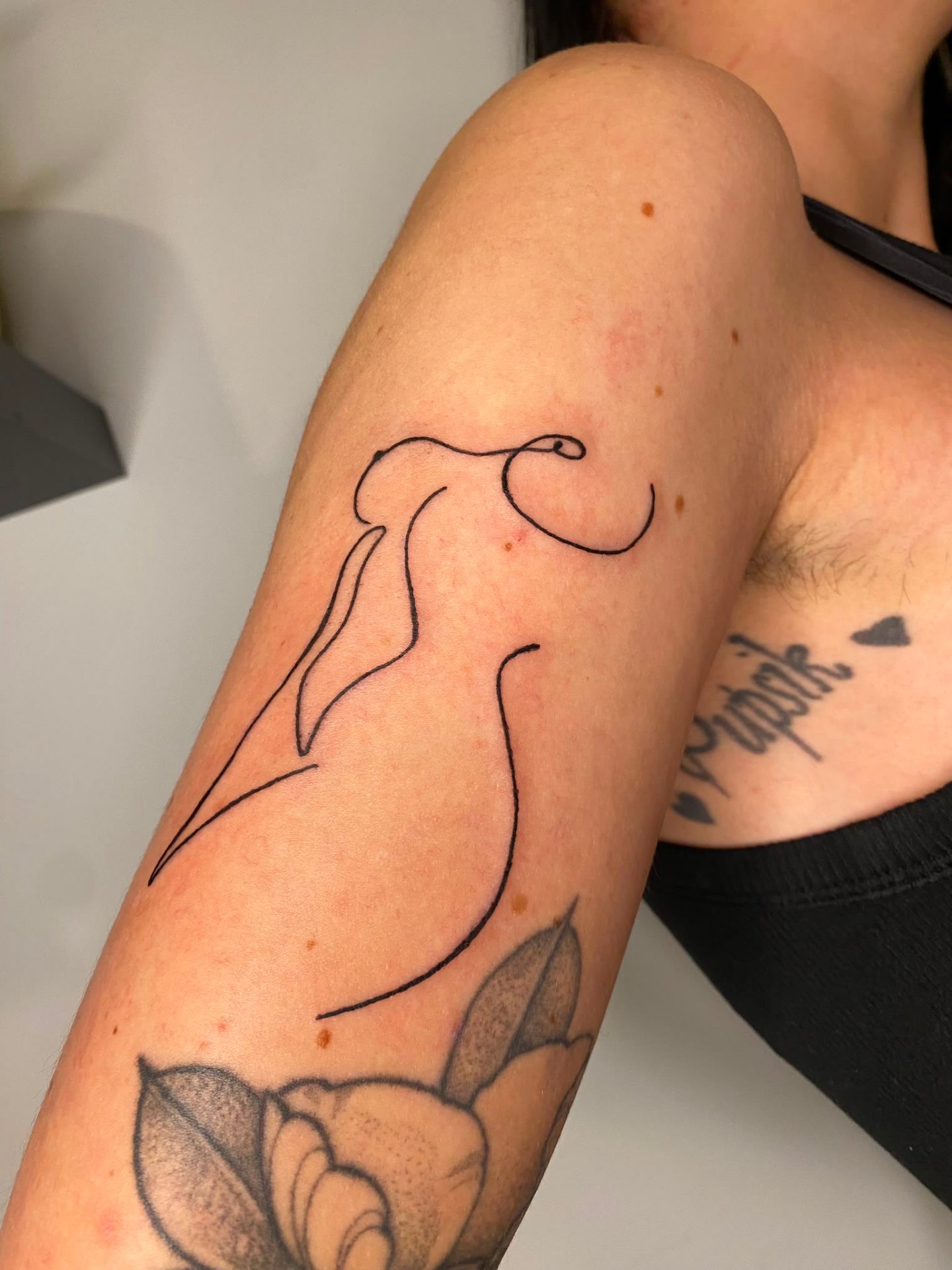 Lil Pokes — image 2 of 9